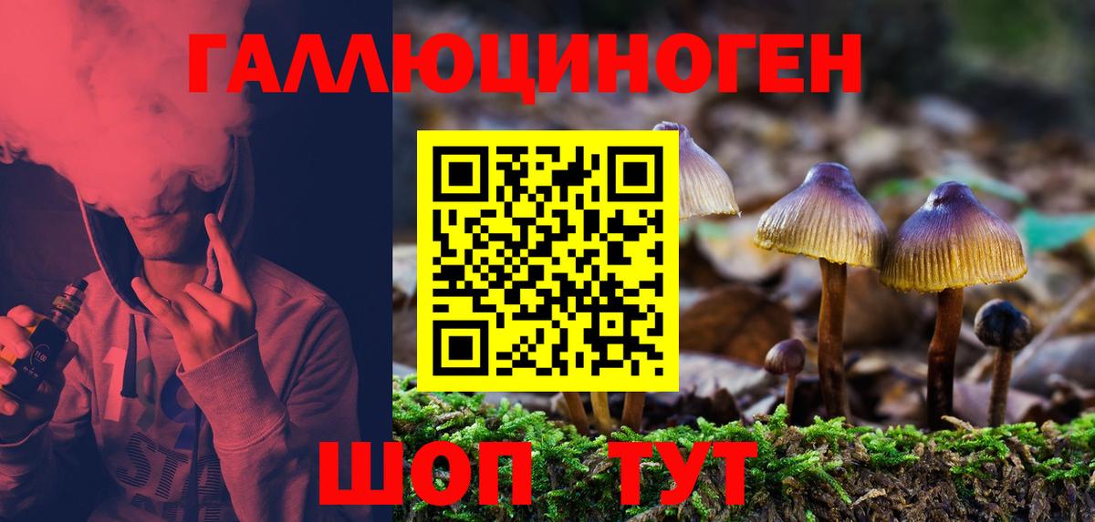 Галлюциногенные грибы GOLDEN TEACHER  Вход с VPN  Краснознаменск 