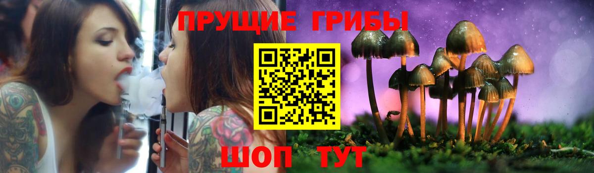 Галлюциногенные грибы MAGIC MUSHROOMS Краснознаменск